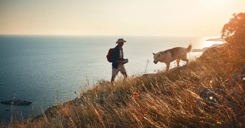 Dog Hiking