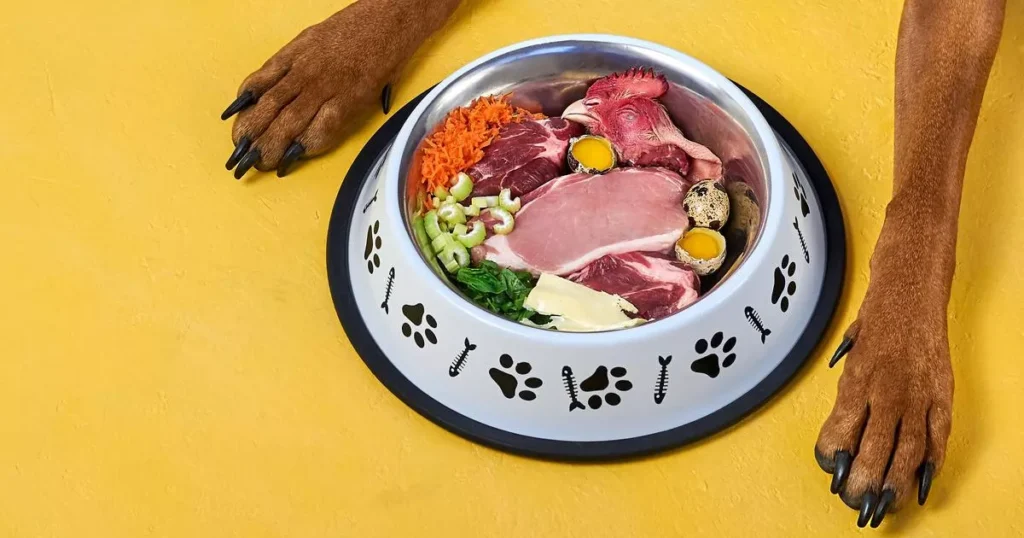 Dog's Dietary Needs