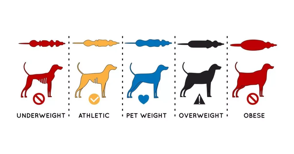 International Weight Loss Study on dog weight management