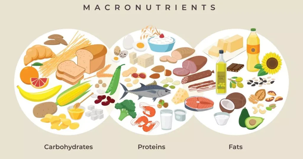 Main food groups - macronutrients. Carbohydrates, fats and proteins in comparison