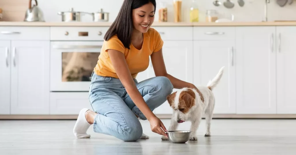 Portion Control Study on Dog Weight Management