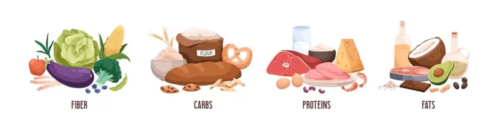 Set of healthy macronutrients. Fiber or cellulose, proteins, fats and carbs or carbohydrates