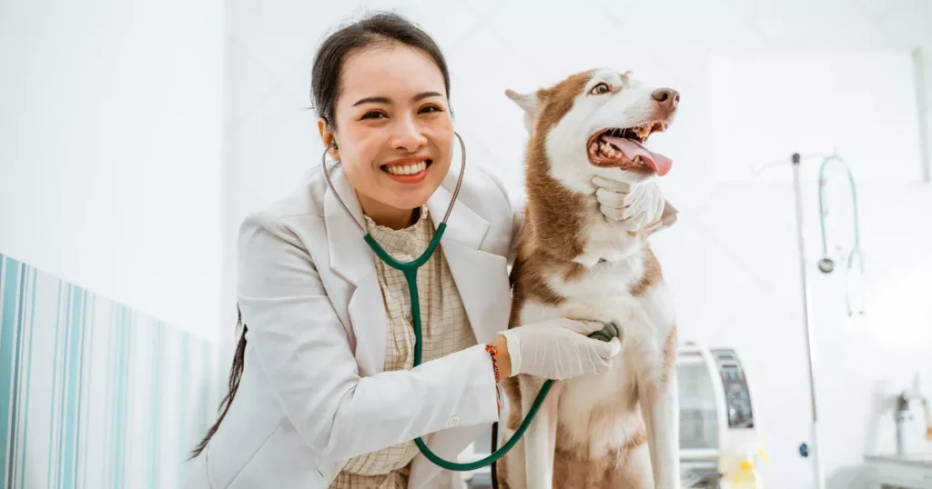 Weight and Dog Fitness