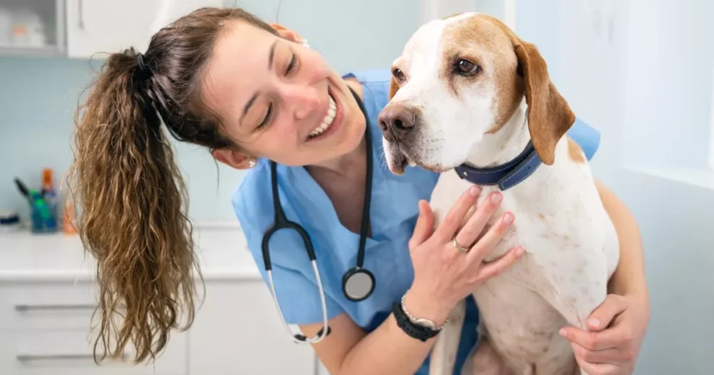 Young happy veterinary nurse smiling while playing with a dog