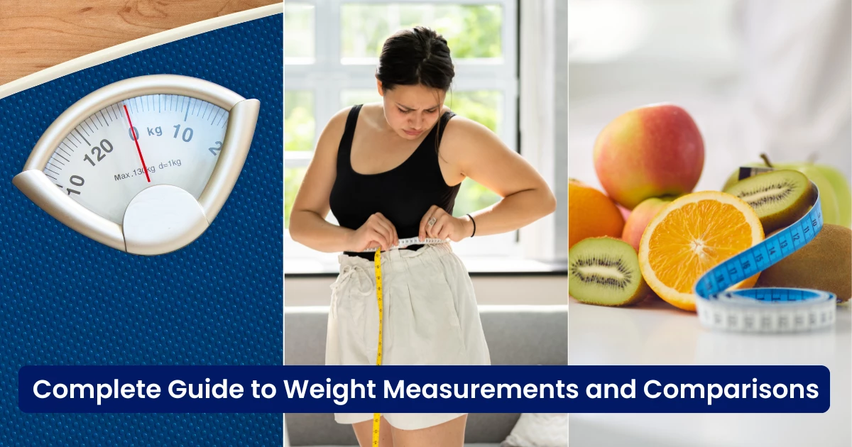 Complete Guide to Weight Measurements and Comparisons