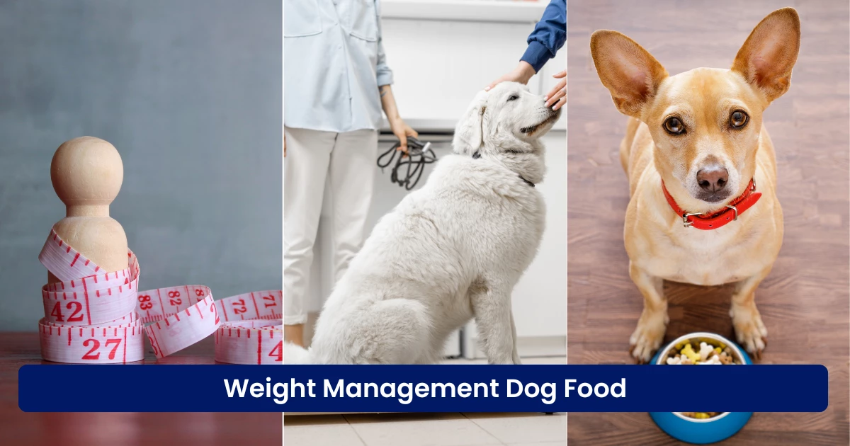 Weight Management Dog Food